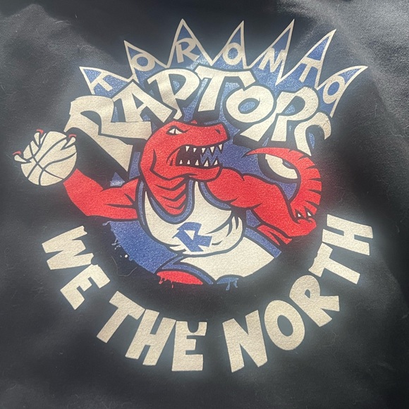 Toronto Raptors hooded sweatshirt - Picture 4 of 4